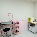 라온펫미용실 이미지