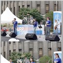 서울특별시청 Daum카페