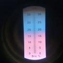 올해도 해피한농원 무농약 인증 아로니아 팔아요~~(50분 한정 동결건조 분말 50g 서비스) 이미지