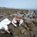 썬라이즈스크린골프 이미지