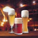 (주)나이스관광 이미지