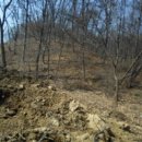 쌍령동-7 이미지