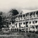 만민농장 이미지