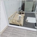 The빛나개 이미지