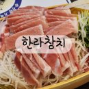 송탄 참치 맛집 한라참치 참다랑어 대뱃살 무한리필 후기