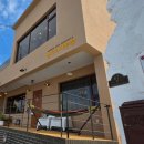 플로리다 봉봉 이미지