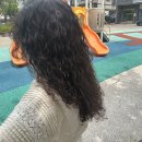 까꼬뽀꼬 이미지