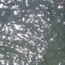 아중호수 화장실 이미지