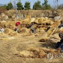하동마을 연합뉴스