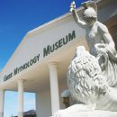 제주도 가면 사진 찍을 곳 많아서 인기 폭발한 장소 이미지