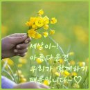 완성이 이미지