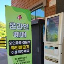 낙동강레일파크 주차장 이미지