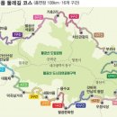 팔공산 둘레길 3구간 이미지