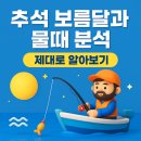 서부낚시터 | 추석 보름달과 물때, 어종 별 낚시 잘 되는 시기 총정리(갑오징어 쭈꾸미, 볼락, 고등어 등)