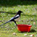 견우와 직녀 이미지