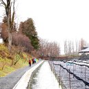 대왕농장 이미지