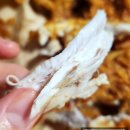 성대 시장맛집 신대방삼거리역 소프트 치킨