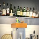 Frog(프로그) 이미지