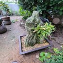 나드리패션 이미지