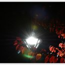 대구선동촌공원 이미지