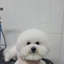 무브멍트 이미지