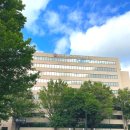 하모니호텔 | 뉴욕여행 / 하모니 스위트 호텔 후기 (Harmony Suites Secaucus Meadowlands)