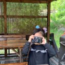 우든하우스양양 | <양양/우든하우스 -에어비앤비 감성독채 힐링숙소!!>