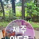 비자림빌리지1 | 제주 비자림주변 대형카페 안도르 제주투어패스이용후기