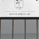 트리고삼척 이미지