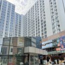 준오헤어 문정역점 제이 부원장님께 염색 받은 후기 송파구 염색추천