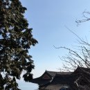 보리암 | <남해여행> 금산 보리암 솔직후기 (주차팁, 셔틀버스)