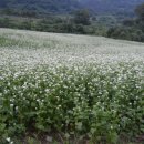 예밀농장 이미지