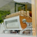 교토 감성 카페 추천 응커피로 유명한 아라비카 커피 후기