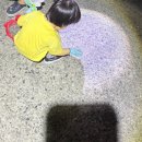 진도여행 진도해루질 가계해수욕장 37개월 아기랑 야간해루질 후기