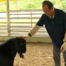 박영철농장 이미지