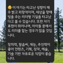 대구여성아이병원 25년 6/1 초산모 자연분만 37주+3일차 출산, 양수터짐,12시간 진통