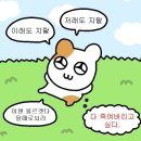 300런