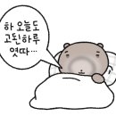 더베스트모텔 이미지