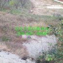 덕현리 마을회관 이미지