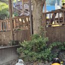 선야봉캠핑장 | [대전 근교 아이랑 가볼 만한 계곡] 수영장 있는 평상 운주계곡 선야봉 캠핑장 :)