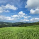 초원의 언덕 이미지