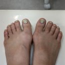 연동물병원 | 가락시장역 문정동 네일 추천 : 더뷰티룸 송파문정점 여름 패디 후기