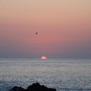 읍천1리 이미지