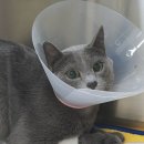 상무동물병원 이미지