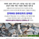 동남비철 이미지