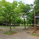 부곡지석묘 이미지