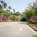 강원) 여행과 등산과 낚시가 동시에 가능한 홍천을 찾아서^^ 이미지