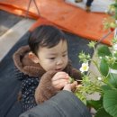 옹골농장 이미지