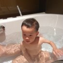 스테이 21 이미지