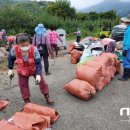 신황마을 이미지